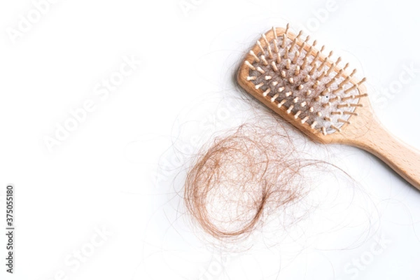 Fototapeta Top view of a brush with lost hair on it, hair fall everyday serious problem. Isolated on white background.