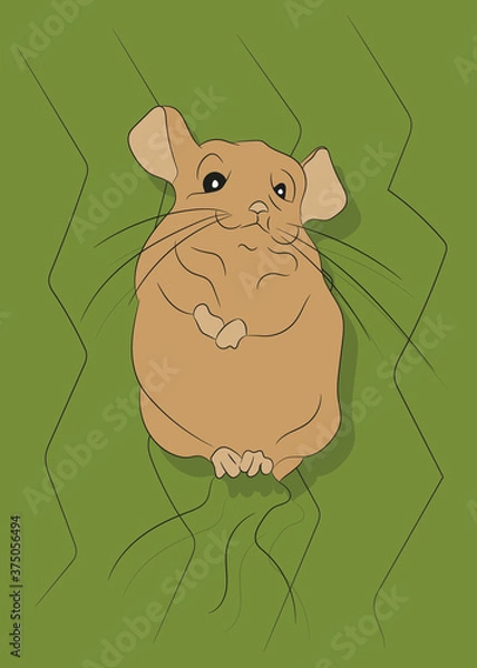 Obraz vector illustration of a mouse on nature