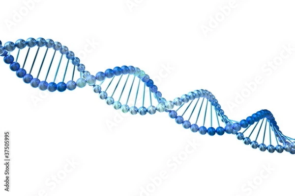 Obraz 3d DNA. Isolated on white background