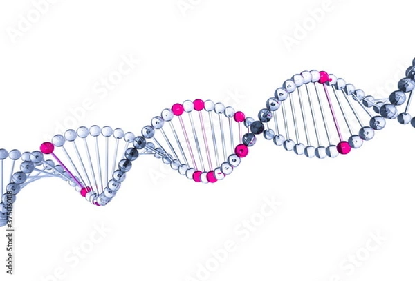 Obraz 3d DNA. Isolated on white background