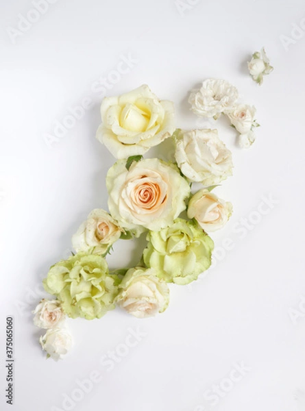 Fototapeta Fresh flower background, floral pattern, fresh roses flat lay photography, instagram content, different flowers wallpaper