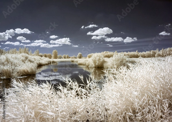 Fototapeta summer landscape, infrared photo snowy tree amazing nature lake reflection, unusual surreal view, infrared photography