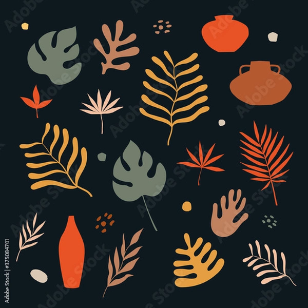 Fototapeta Set of exotic palm leaves of various shapes and sizes vector illustration on a dark background. Tropical plants. Colorful plants in a flat style. Organic elements for ecological design.