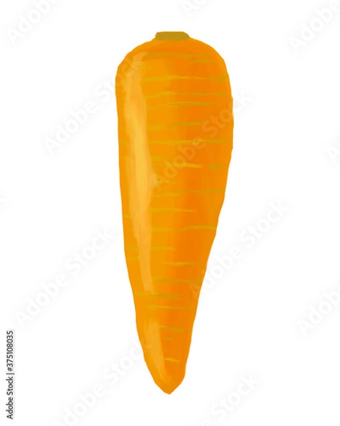 Obraz にんじん　carrot