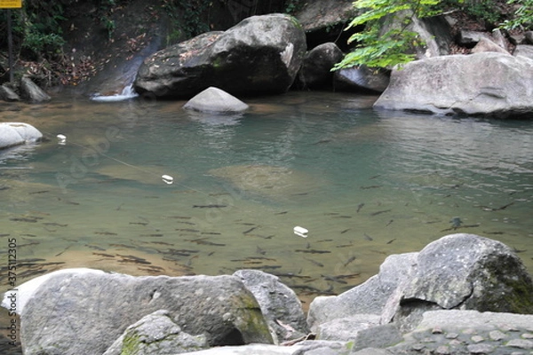 Obraz rocks in the water