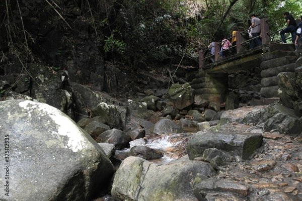 Obraz waterfall in the forest
