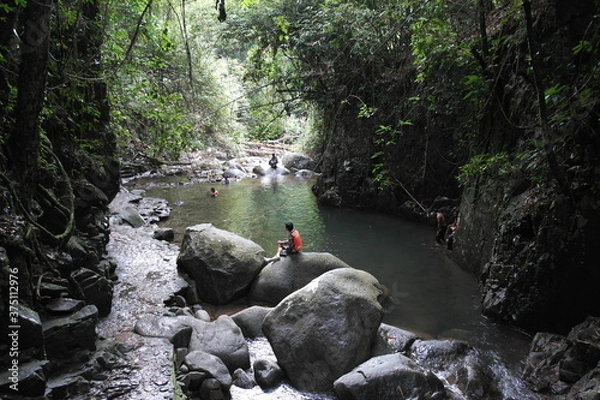 Obraz river in the forest