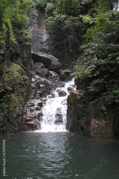 Obraz waterfall in the forest