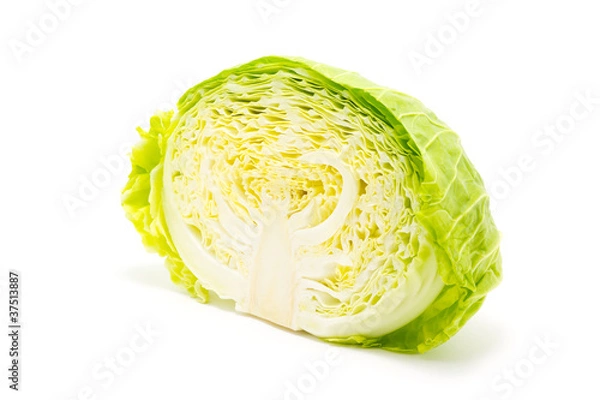 Obraz キャベツ 1/2