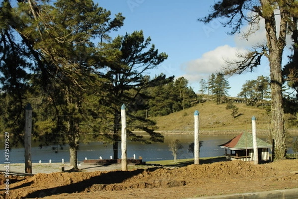 Obraz lake and trees