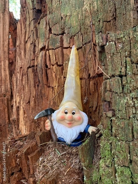Obraz gnome in the woods