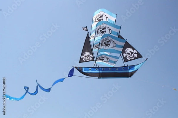 Obraz kite in the sky