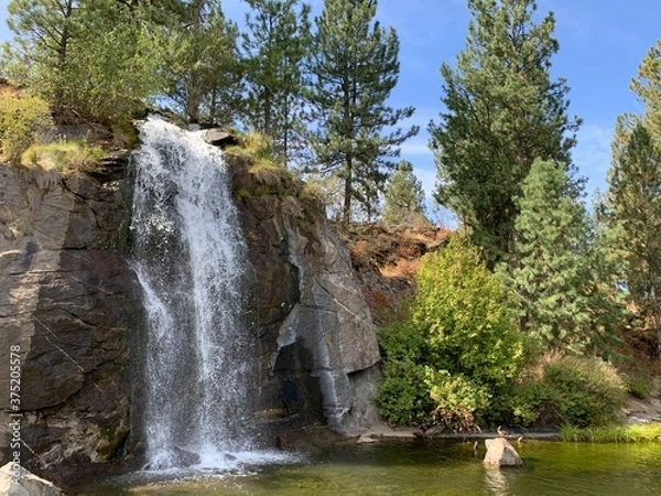 Obraz waterfall in the forest