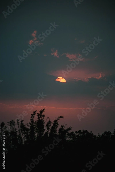 Obraz sunset in the sky