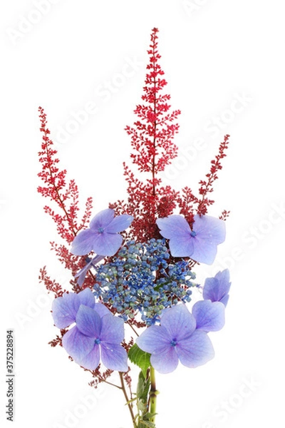 Obraz Hydrangea flower arrangement