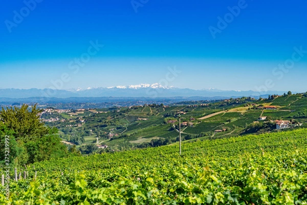 Fototapeta Langhe 11