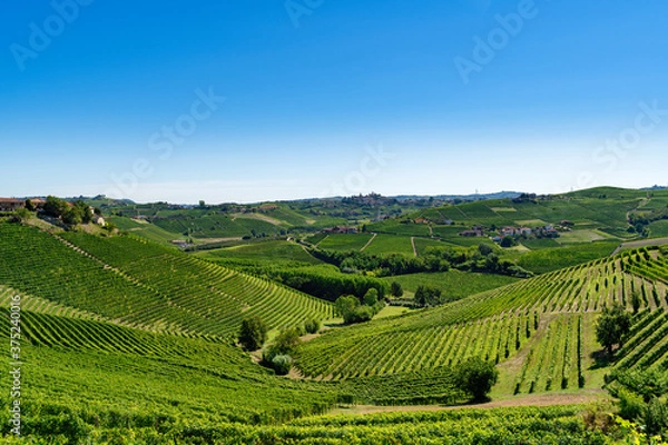 Fototapeta Langhe 10