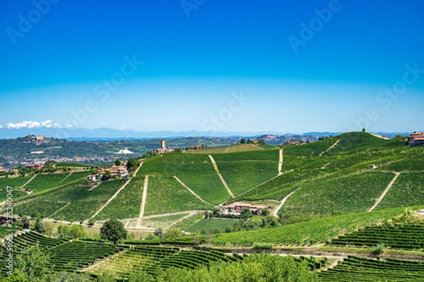Fototapeta Langhe 9