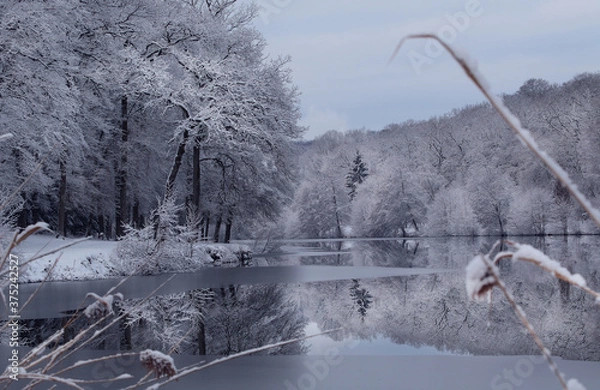 Obraz lac de Contrexeville  hiver 