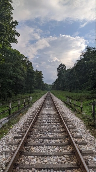 Obraz railway track going through forest