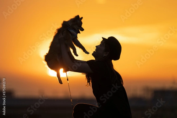 Obraz 夕日と抱っこされる犬