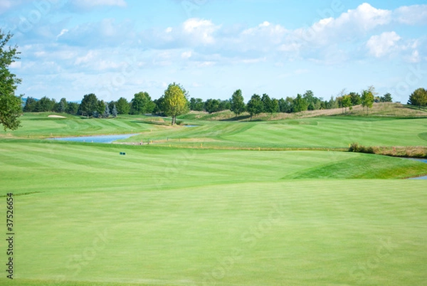 Obraz Golflandschaft