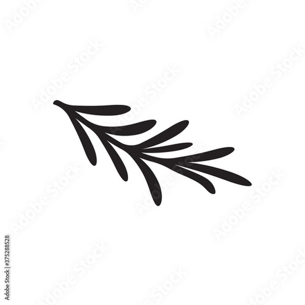 Obraz rosemary leaf vector logo illustration template