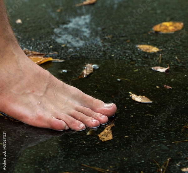 Fototapeta teen walks through puddles after summer rain
