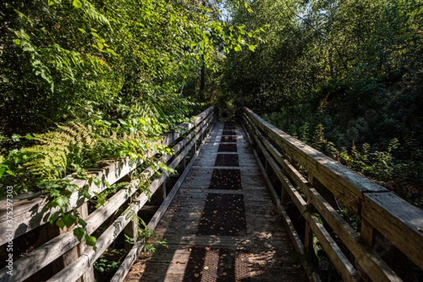 Fototapeta small wooden bridge inside park with dense green foliage covering on both sides on a sunny day