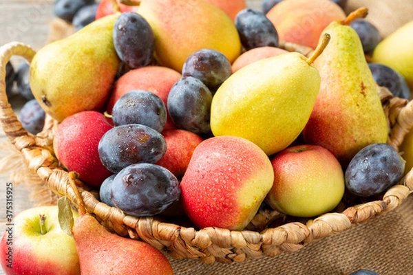 Obraz Assortment of fruits in a basket on the table. There are a lot of different raw fruits in the basket. Plums, peaches, apples and pears on the table. Healthy diet