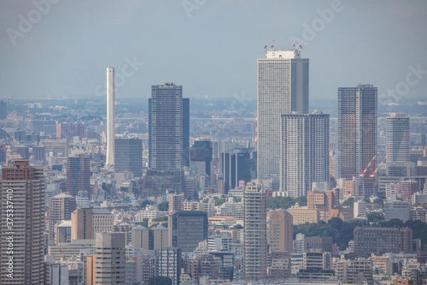 Fototapeta 六本木スカイデッキからの風景