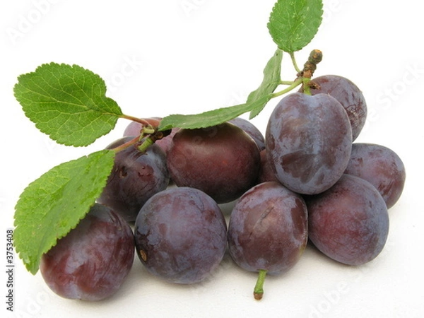 Obraz Czerwone śliwki