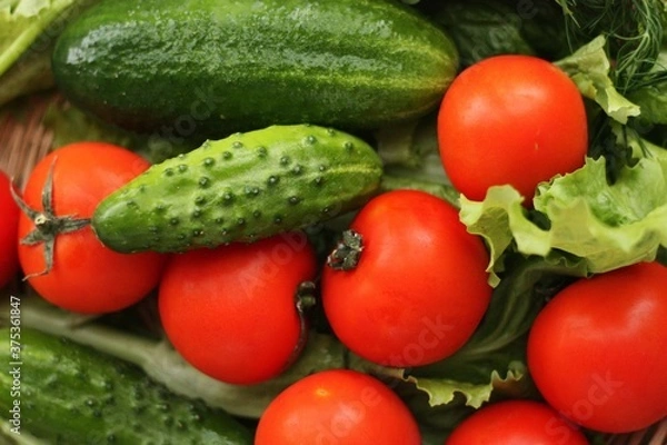 Fototapeta Cucumbers tomatoes and dill for salad macro 