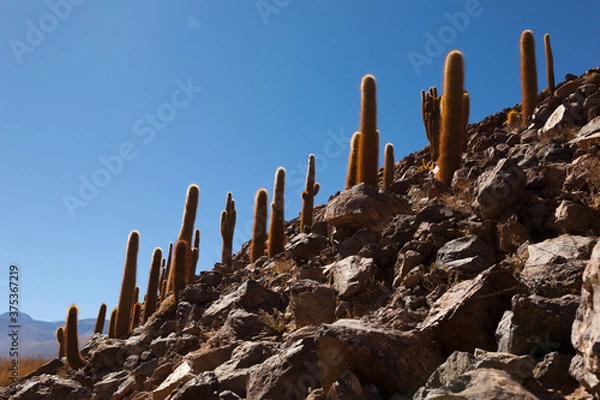 Obraz Atacama desert. North of Chile