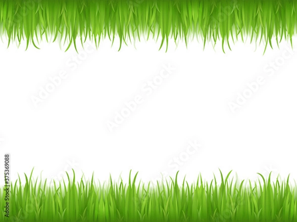 Fototapeta light green animation grass herb lawn and fresh bright grass lawn pattern textured on white.