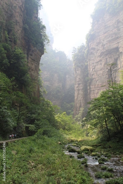Obraz mountain river in the morning