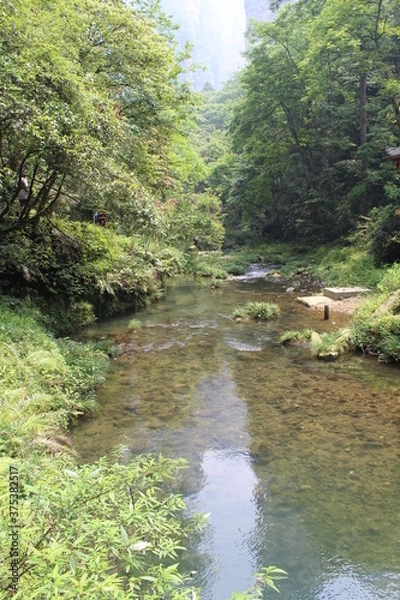 Obraz river in the forest