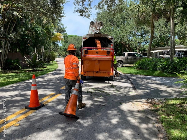 Fototapeta Arborist cleaning up after trimming dangerous tree branches over power lines.
