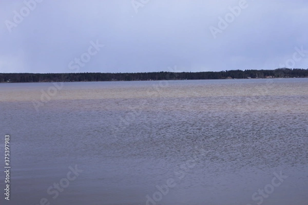 Obraz lake in the evening