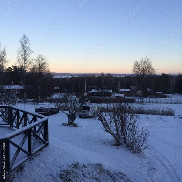 Obraz winter in the park