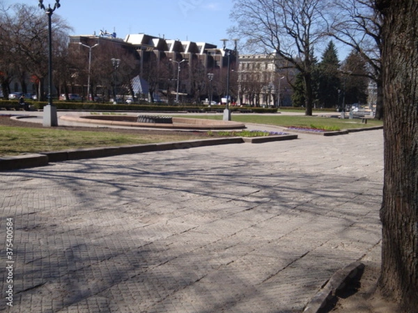 Obraz park in the city