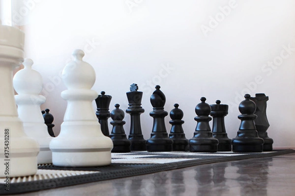 Fototapeta Large black and white chess pieces. Ancient game. Chess on the floor. Copy of the space.