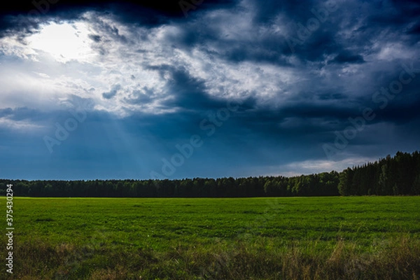 Obraz clouds over the field
