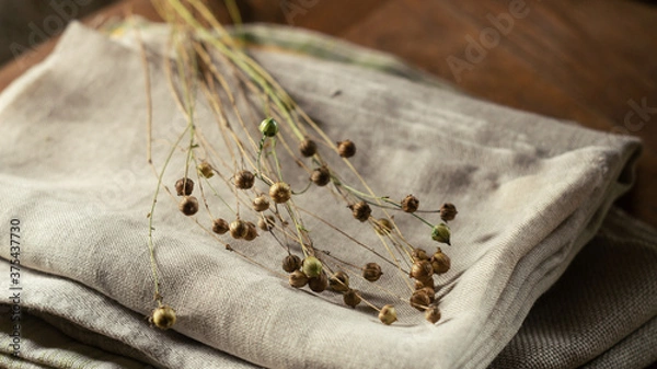 Fototapeta Bunch of dry flax plants on linen cloth