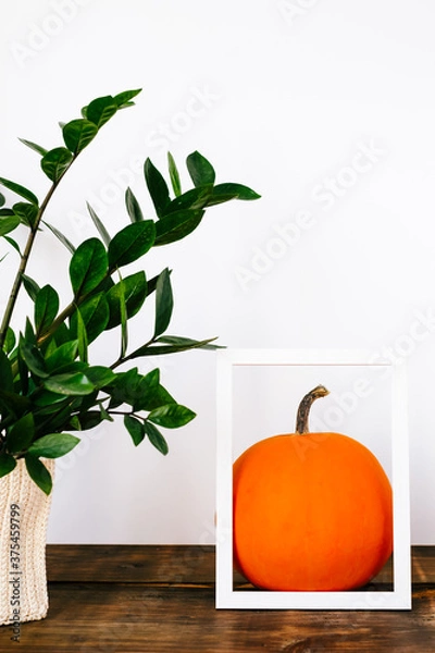 Fototapeta Pumpkin in a frame and zamiokulkas on the table Halloween mood.