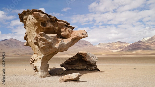 Obraz Árbol de Piedra ("stone tree") in Bolivia