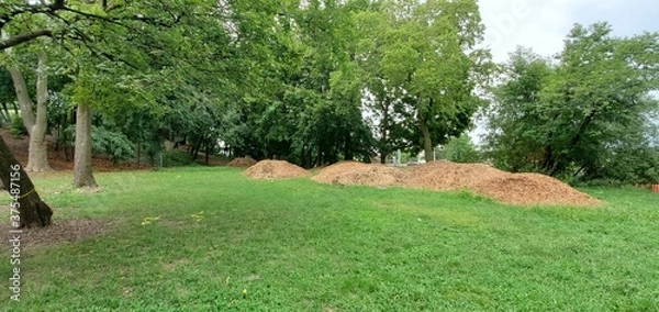 Obraz Mulch piles in the park