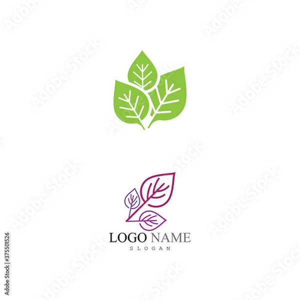 Fototapeta Leaf Logo Template vector symbol