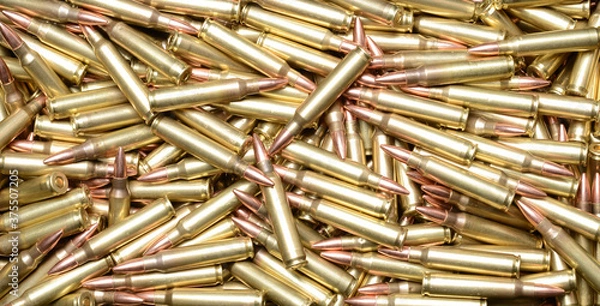Obraz 223/5.56 Cartridges