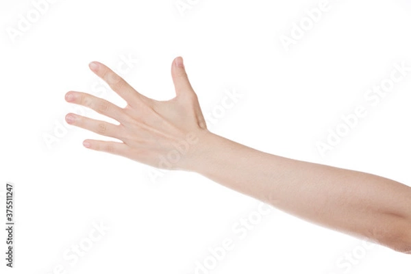 Fototapeta a woman's hand with her back showing her hand.